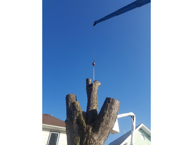 20191024_101049